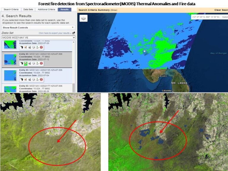 The use of thermal anomalies and the MODIS Burn Area Index (BAI) can provide valuable information on forest fires and help in identifying burnt areas. By using GIS to analyze satellite imagery, researchers can detect changes in temperature and identify areas where fires are most likely to occur. This information can be used to monitor forest fires and help in the management of forest fires. The use of GIS technology in this context can provide valuable insights into the distribution and severity of forest fires and help in mitigating their impact on the environment and wildlife.